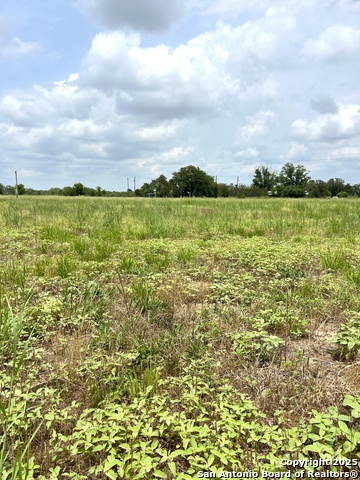 6605 Gander Slough, Kingsbury, Texas image 9