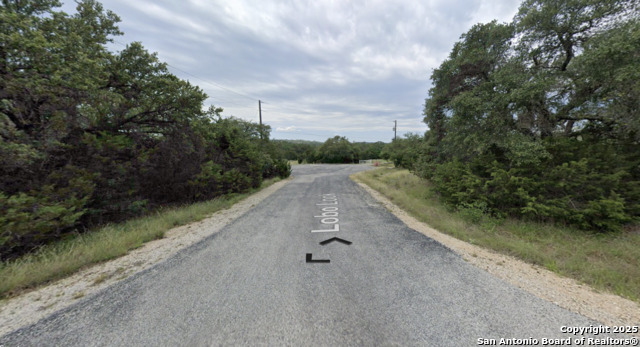 191 Lobo Look, Spring Branch, Texas image 1