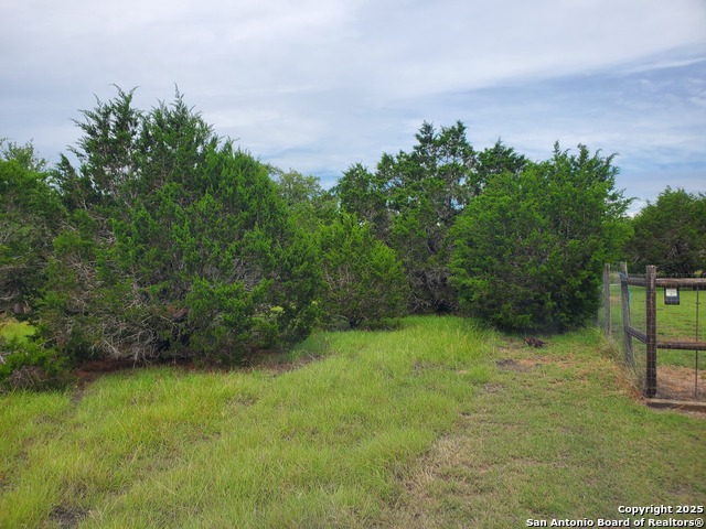 1230 Fir, Fischer, Texas image 12