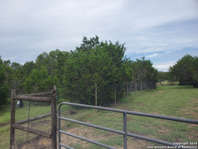 1230 Fir, Fischer, Texas image 13