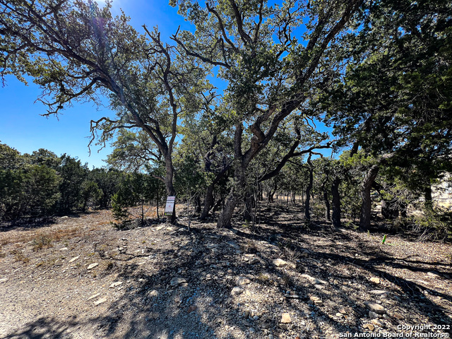 209 Legacy Ridge, Canyon Lake, Texas image 1