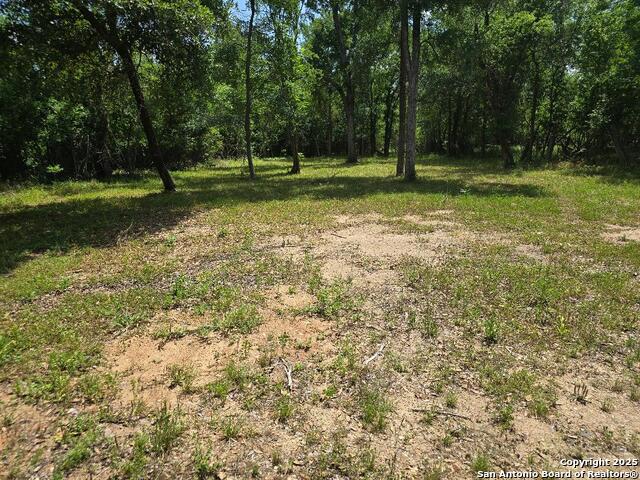 332 NE Half, Rockdale, Texas image 4