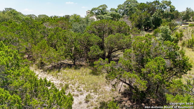 116 Balcones Bend, Boerne, Texas image 24