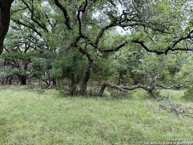1187 Long Meadow, Spring Branch, Texas image 14