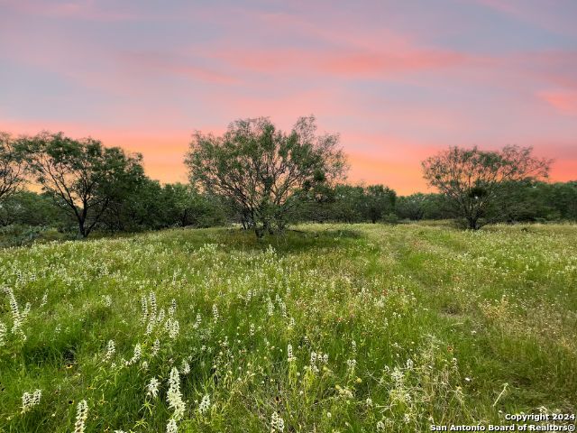 730 County Road 2530, Moore, Texas image 1
