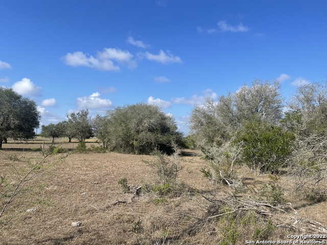 3626 Old Goliad Rd, Goliad, Texas image 11