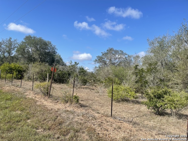 3626 Old Goliad Rd, Goliad, Texas image 6
