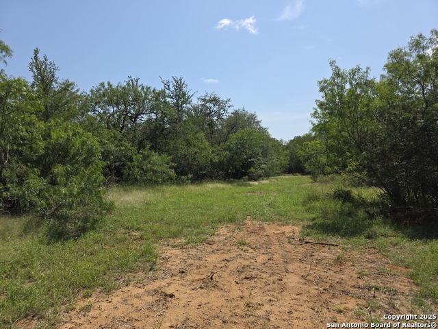 675-1 Marrou Rd., Seguin, Texas image 3