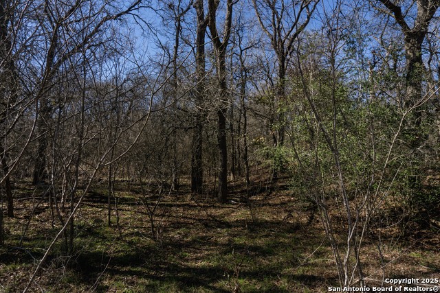 675-3 Marrou Rd., Seguin, Texas image 14