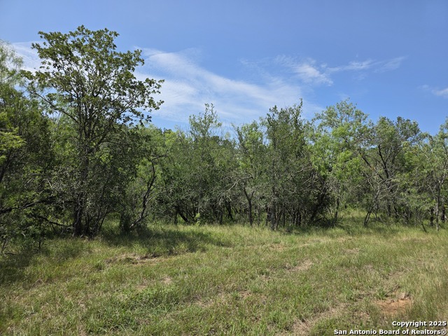 675-5 Marrou Rd., Seguin, Texas image 8