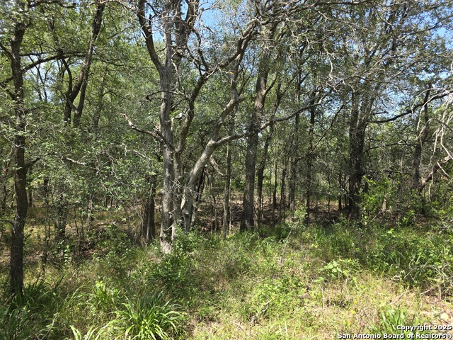 675-6 Marrou Rd., Seguin, Texas image 10