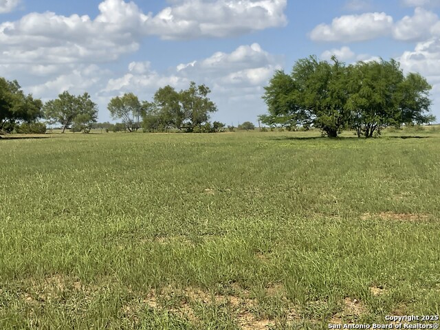 152 Gentle Breeze, Floresville, Texas image 2