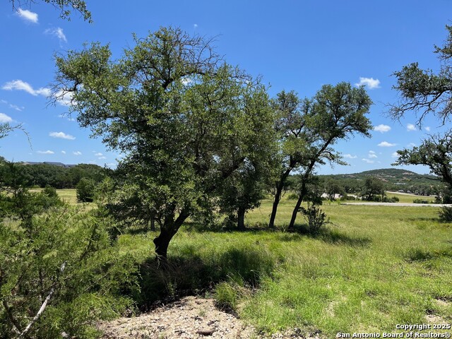 Cotaco, Boerne, Texas image 8