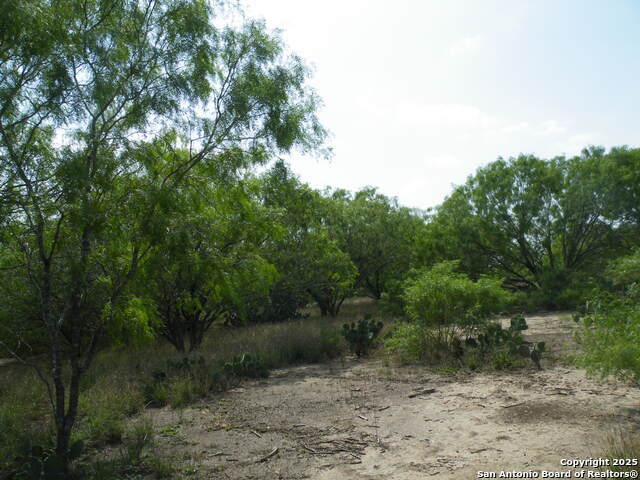 000 Pr Mia, Floresville, Texas image 8