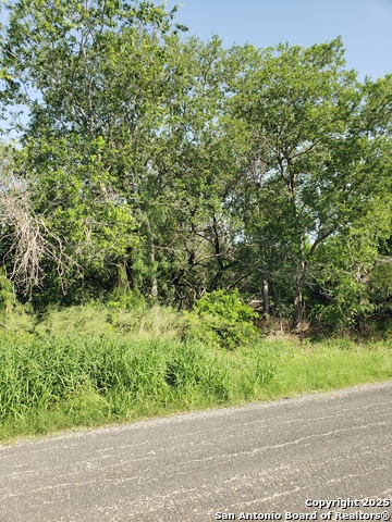711 Novella, Adkins, Texas image 1