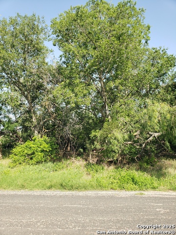 711 Novella, Adkins, Texas image 2
