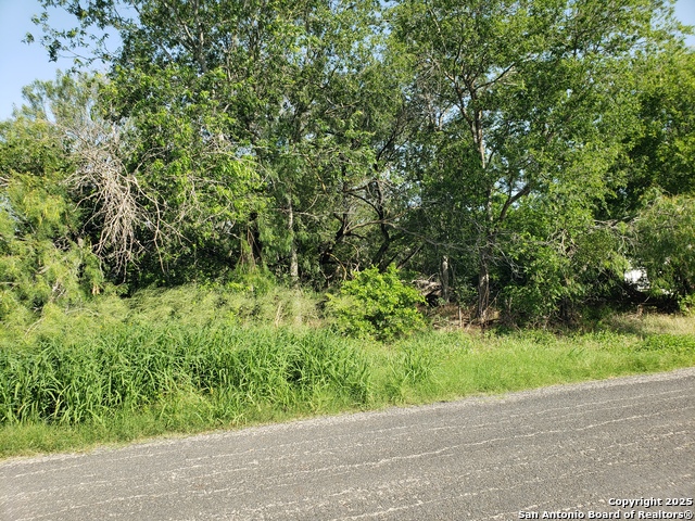 711 Novella, Adkins, Texas image 3