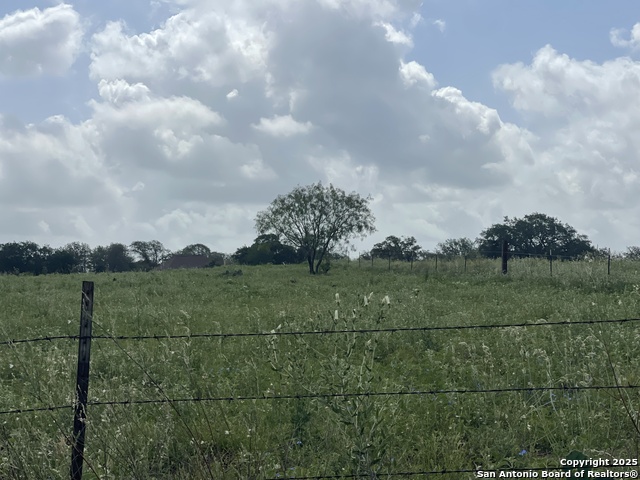 LOT 2 County Road 6723, Natalia, Texas image 8