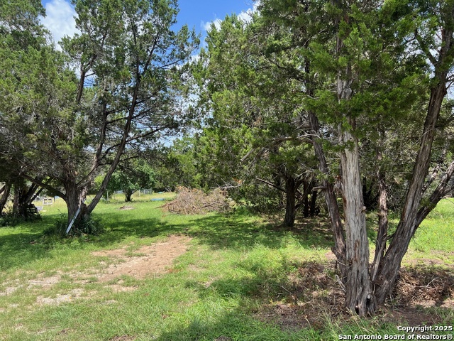 420 Lake Park Loop, Canyon Lake, Texas image 4