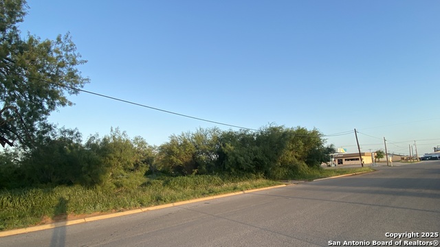 102 E Leona, Dilley, Texas image 9