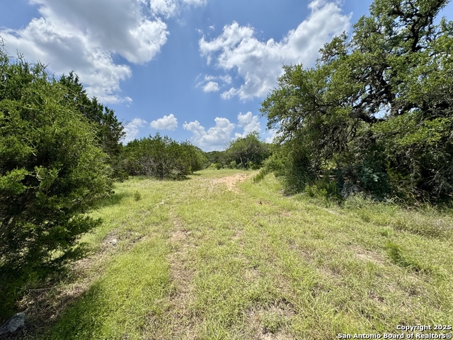 LOT 186 Pr 1712, Mico, Texas image 23