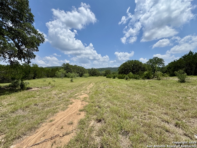 LOT 186 Pr 1712, Mico, Texas image 3