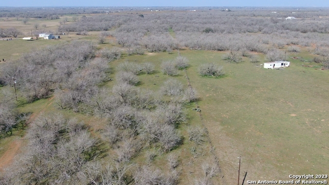 Odaniel School Rd, Seguin, Texas image 12