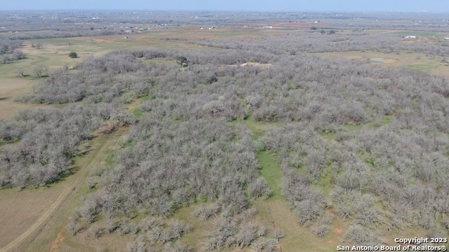 Odaniel School Rd, Seguin, Texas image 7