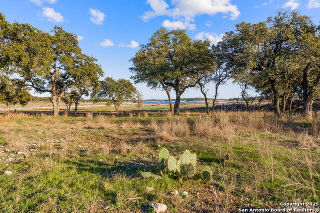 539 Clay Ridge, Canyon Lake, Texas image 16