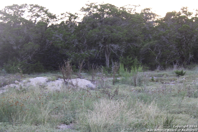 2025 Fuller Dr., Canyon Lake, Texas image 5