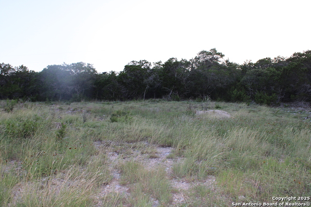 2041 Fuller Dr., Canyon Lake, Texas image 3