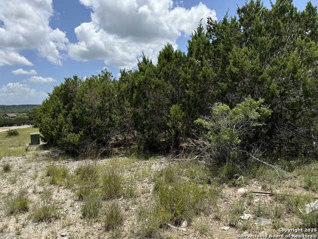 2115 Senora Ridge, Canyon Lake, Texas image 11