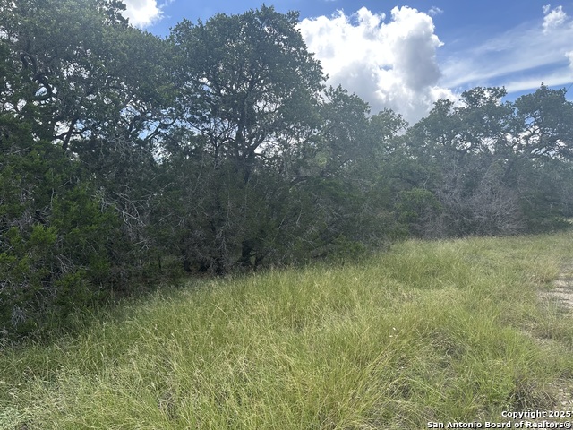 275 Serenity Pass, Spring Branch, Texas image 3