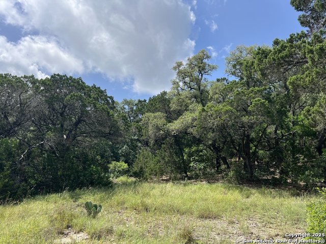 19031 Bandera Rd, Helotes, Texas image 1