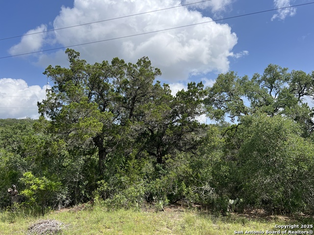 19031 Bandera Rd, Helotes, Texas image 24