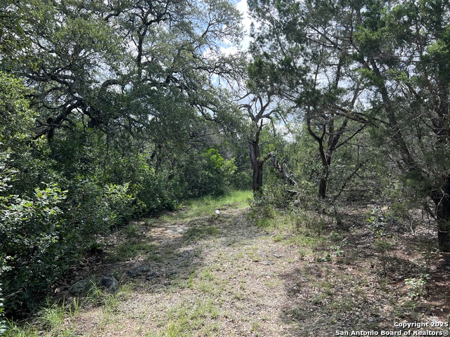 19031 Bandera Rd, Helotes, Texas image 26