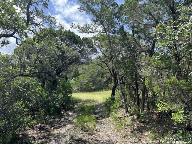 19031 Bandera Rd, Helotes, Texas image 28