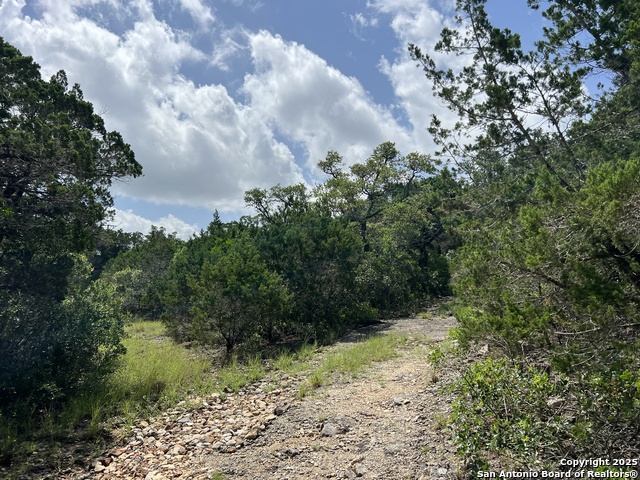 19031 Bandera Rd, Helotes, Texas image 29