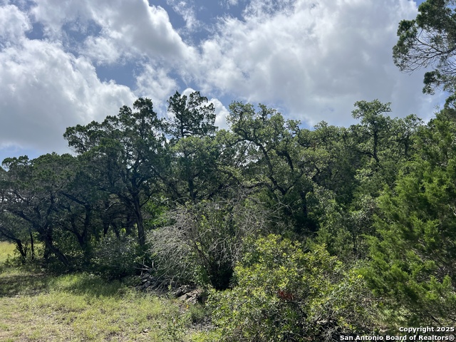 19031 Bandera Rd, Helotes, Texas image 31
