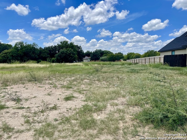243 Janice Avenue, Castroville, Texas image 1
