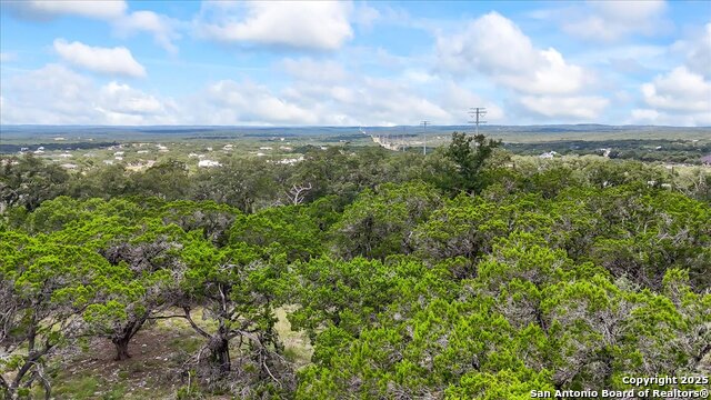 697 Travis Forest, Bulverde, Texas image 2
