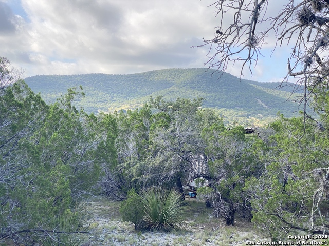 430 Pendley, Leakey, Texas image 14