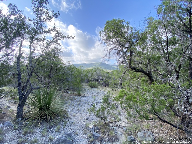 430 Pendley, Leakey, Texas image 15