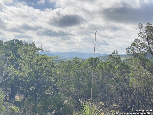 430 Pendley, Leakey, Texas image 16