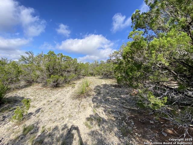 430 Pendley, Leakey, Texas image 17