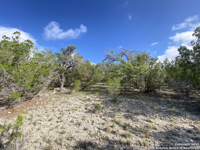 430 Pendley, Leakey, Texas image 18