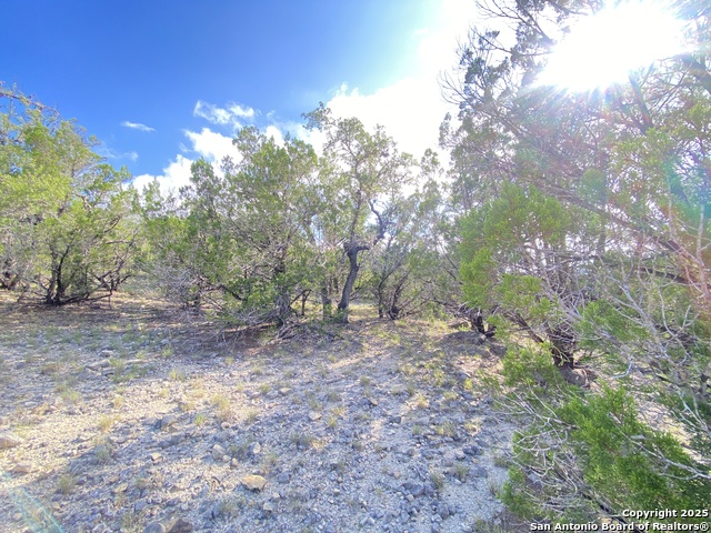 430 Pendley, Leakey, Texas image 19