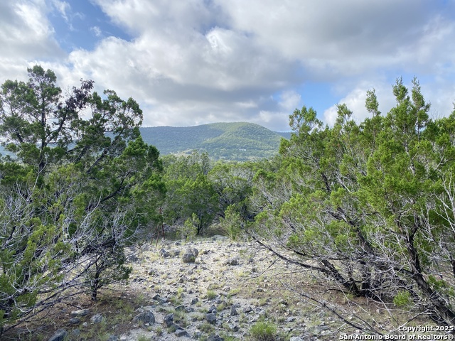 430 Pendley, Leakey, Texas image 21