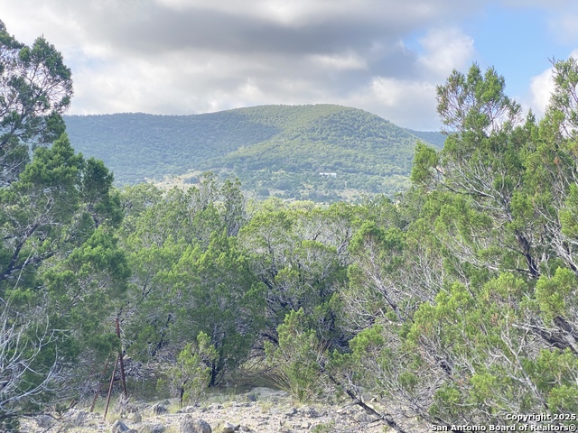 430 Pendley, Leakey, Texas image 22