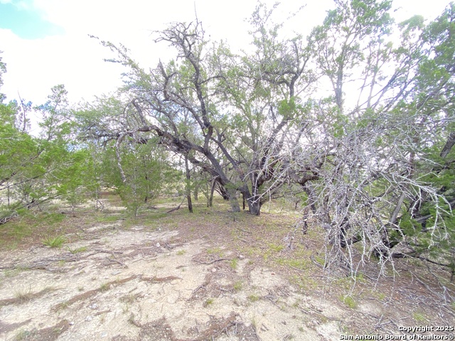 430 Pendley, Leakey, Texas image 27